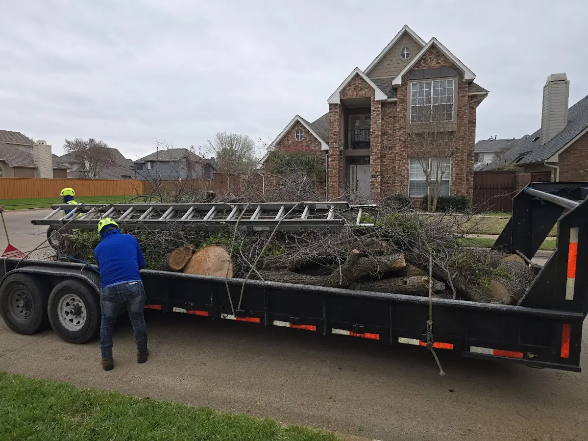 Expert Lot Clearing with proper safety equipment in Castanea